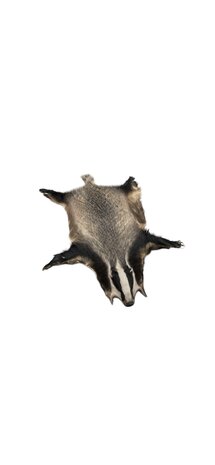 The Badger Fur 11003