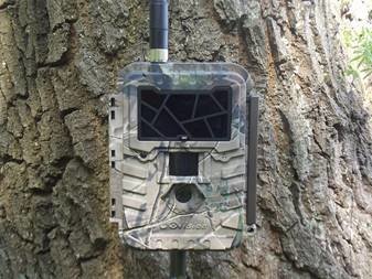 UM595-3GHD Wildcamera / Bewakingscamera Uovision CLOUD