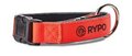 Rypo Nylon Honden Halsband Vuuroranje