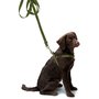 Dog leash Green &amp; Orange