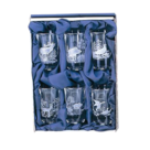 Drink-set-6-pieces