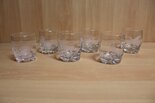 Glasses-Set-6-Pieces-with-wild-motif