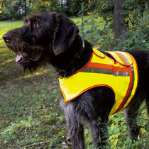 Reflecterend vest voor honden Reflecterend vest voor honden