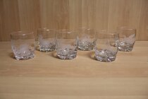 Glasses Set 6 Pieces with wild motif