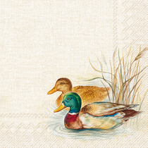 20 serviettes Canards 20 serviettes Canards
