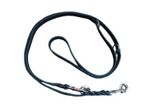 Leather Dog Leash 3-Piece Black