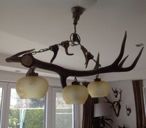 Hanglamp Edelhert 3 lampen Hanglamp Edelhert 3 lampen