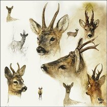 20 napkins Roe deer