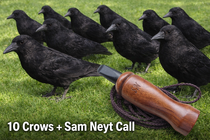 10 Stuks Kraai full body geflockt + Sam Neyt Lokfluit