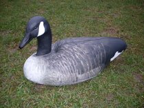 Featherlites Fusion Series Canada Goose (4 stuks) Gans