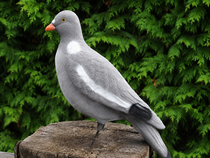 Full Body Geflockte Duif (kop hoog)