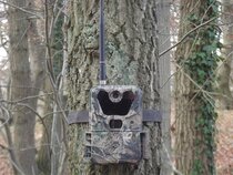 UM785-3G HD Wildcamera / Bewakingscamera zeer snelle GPRS Verzendfunctie, Black Ir Led's UM785-3G HD Wildcamera / Bewakingscamera zeer snelle GPRS Verzendfunctie, Black Ir Led's
