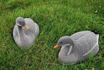 Grauwe geflockte gans stapelbare ganzen 6 stuks Grauwe geflockte gans stapelbare ganzen 6 stuks