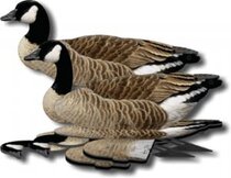 FUD Canada Goose 6 pieces FUD Canada Goose 6 pieces