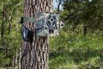 PRIMOS-beschermkast-box-voor-Primos-wildcameras