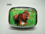 squirrel-pillbox