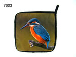 ijsvogel-pannenlap