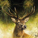 20-napkins-deer-Hunt