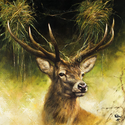 20-serviettes-cerf-Chasse