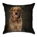 Wildzone-Classic-Cushion-42x42-cm-M-364-1795