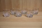 Glazen-Set-6-Stuks-met-wild-motief