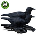 FUD-Crow-6-pieces