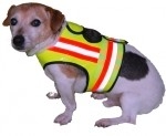 Honden-veiligheidsvest-Small