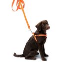 Dog-leash-Orange-&amp;-Green