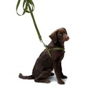 Dog-leash-Green-&amp;-Orange